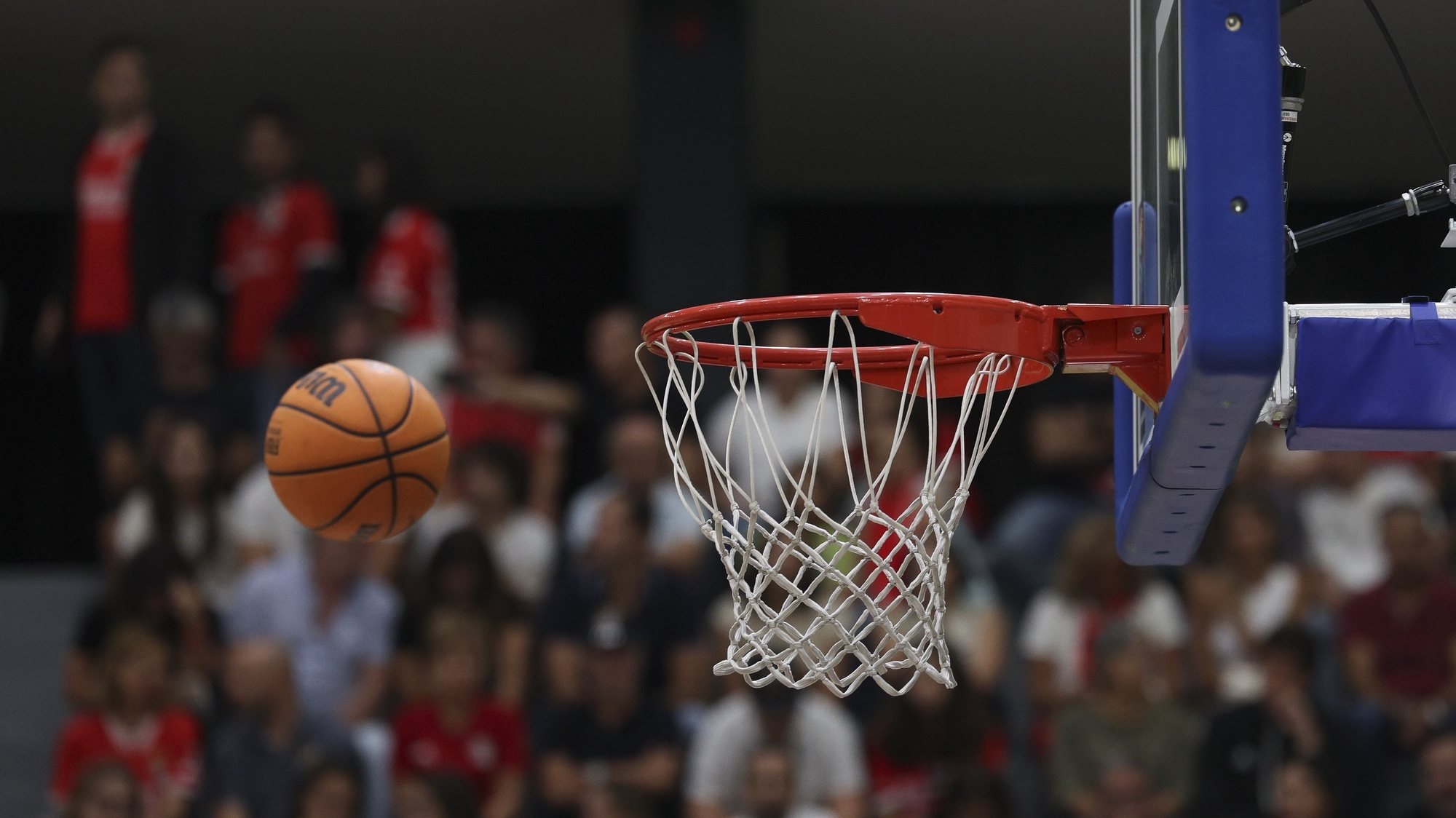 Cestas, Cotas, Apostas no Basquete, Basquete, Apostas Esportivas, Cotas Decimais, Cotas Fracionárias, Cotas no Formato Americano, Total de Pontos, Over/Under, Pontos de um Jogador.